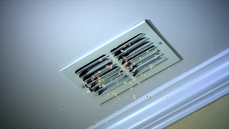Best Commercial Air Duct Cleaning  in Wtell, LA